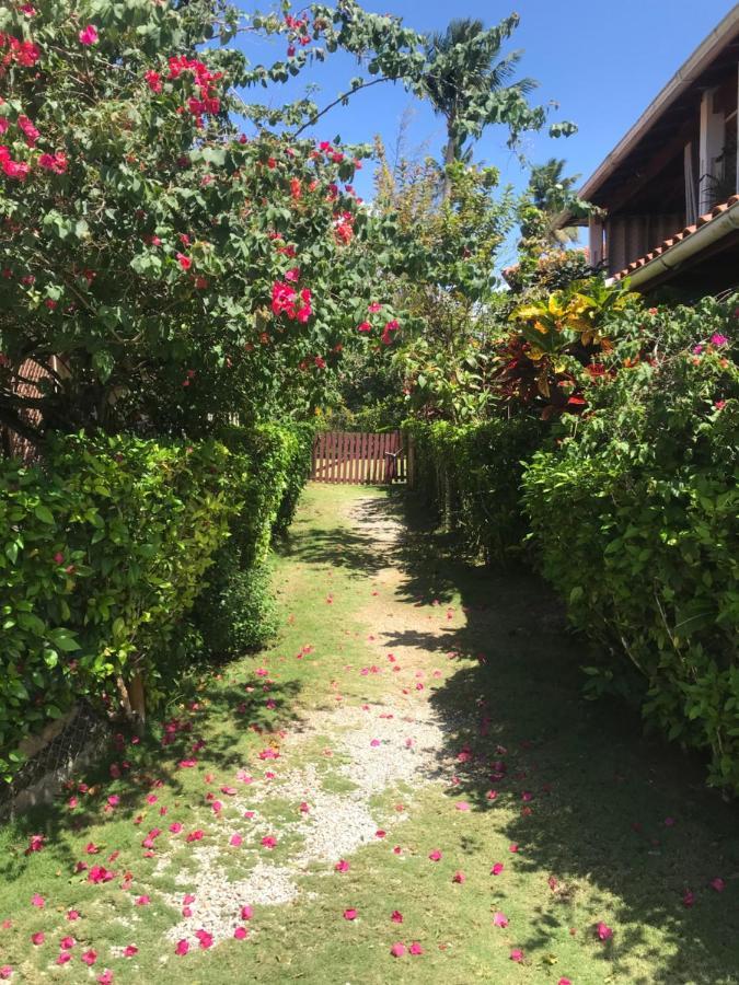 Cozy Oceanfront Villa With Direct Beach Access Las Terrenas Exteriér fotografie