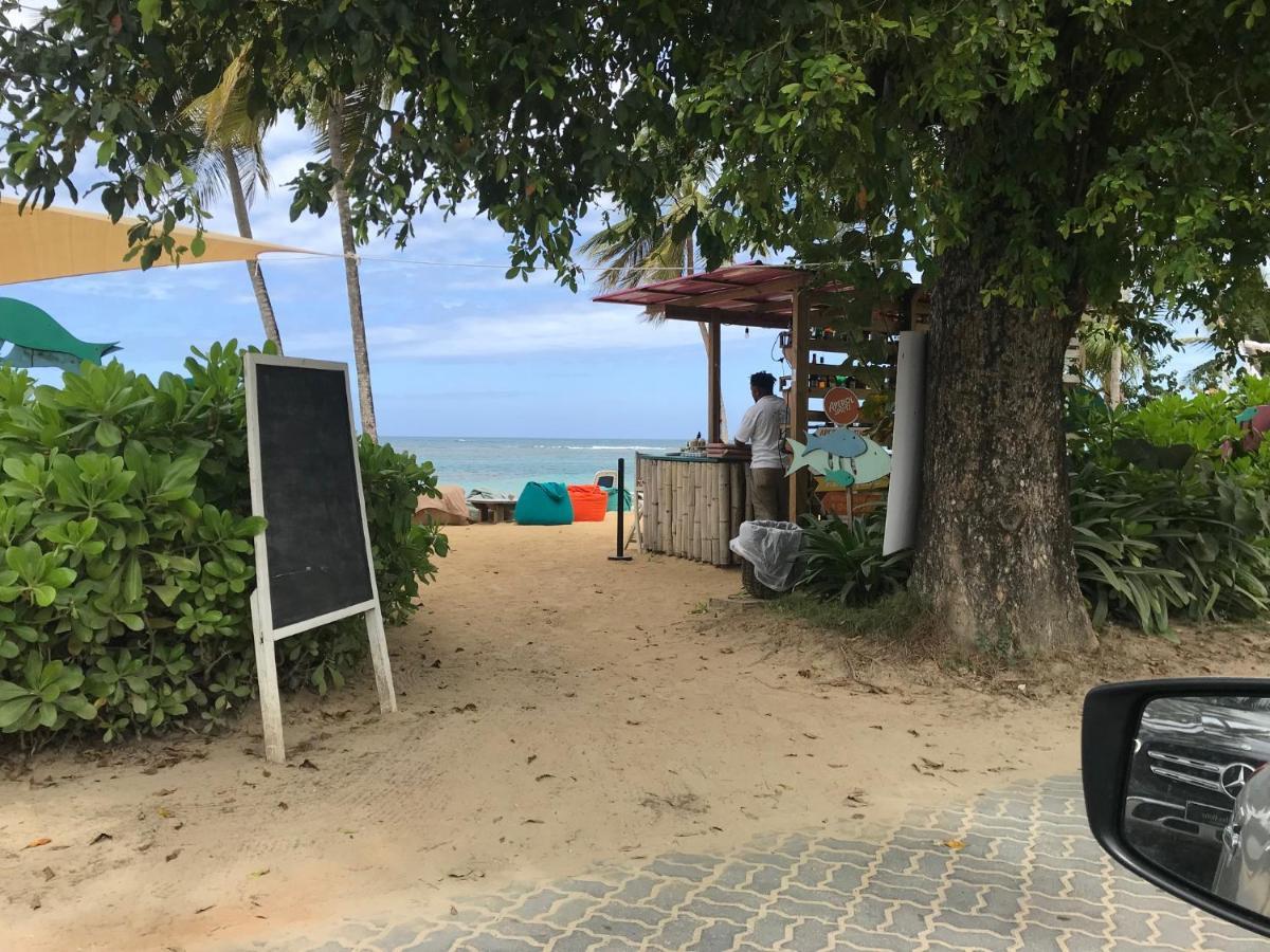 Cozy Oceanfront Villa With Direct Beach Access Las Terrenas Exteriér fotografie