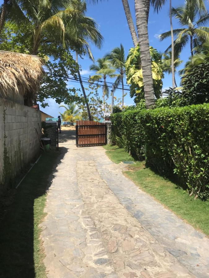 Cozy Oceanfront Villa With Direct Beach Access Las Terrenas Exteriér fotografie